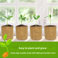 Kit d'outils de jardinage multifonctionnel transfrontalier le plus vendu ; Outils de plantation de bonsaï ; Kit de bonsaï pour débutants