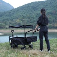 Chariot de camping pliable TC-16 avec toit pare-soleil et parapluie pour pique-nique et camping
