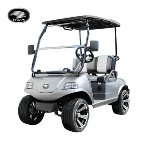 2024 nuevo precio Club Car 48V barato 2 asientos para la venta al por mayor Mini Buggy HDK EVOLUTION carrito de Golf eléctrico