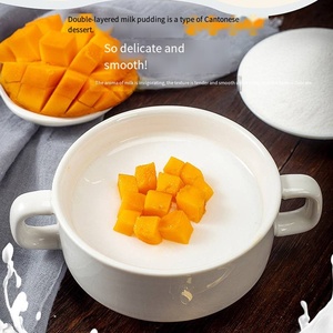 Poudre de dessert instantanée Halal saveur mangue, ingrédient pour topping de bubble tea - Product Image 3