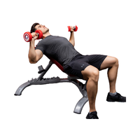 Banc de musculation pliable en métal réglable pour haltères, équipement de gym commercial, usage domestique, pour musculation et presse à barre – Offre Spéciale