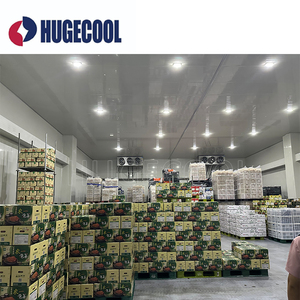 Cámara Frigorífica, Cuarto Frío, Congelador <span class=keywords><strong>para</strong></span> Supermercado, Carnicería - Product Image 2