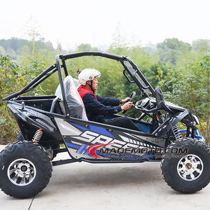 Buggy de golf buggy original et neuf d'<span class=keywords><strong>occasion</strong></span> pour <span class=keywords><strong>moteur</strong></span> différentiel électrique handicapé 60v 3000W deux places Big Go <span class=keywords><strong>Kart</strong></span> - Product Image 3