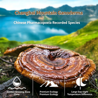 Extrait naturel de Ganoderma Lucidum, polysaccharides de Reishi, poudre brute, qualité alimentaire, qualité alimentaire pour la santé