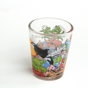 Bán buôn tùy chỉnh giá rẻ logo in Florida USA lưu niệm du lịch cá nhân cốc thủy tinh - Product Image 5