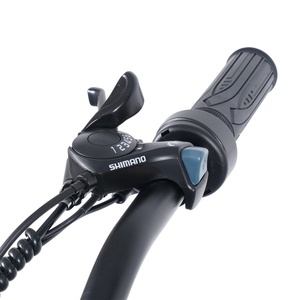 Promotion Exceptionnelle Vélo Électrique de Ville pour <span class=keywords><strong>Femme</strong></span> 28 Pouces Stocks UE Moteur Arrière 250W 7 Vitesses Batterie Lithium 36V 7.8Ah <span class=keywords><strong>Cadre</strong></span> en Alliage d'Aluminium - Product Image 4