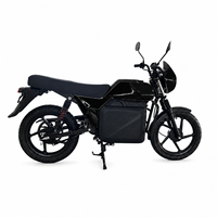 Hot Selling Long Range 85Km/h High Speed Powerful Adult Electric Motorbike for Daily Urban Commuter Travel