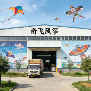 ทำว่าวตามสั่ง ว่าวบินได้ 'ผลิตในประเทศจีน' ว่าวลายอนิเมะ ว่าวเด็ก ดีไซน์ว่าว วัสดุโพลีเอสเตอร์ สำหรับอายุ 14 ปีขึ้นไป - Product Image 4