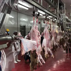 Automatic Live Goats Lamb Ram Africa Slaughtering Machine Abattoir