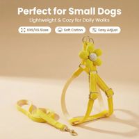 Ensemble Harnais et Laisse pour Chien avec Décoration Florale Colorée, Harnais en Nylon Tressé Doux et Respirant, Réglable pour Chiots