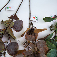 Plantes vertes artificielles avec graines et eucalyptus Arrangement de fleurs de mariage Ensemble de photographie