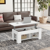 Table basse multifonctionnelle en bois avec plateau relevable, rangement et extension, idéale pour la maison et le bureau