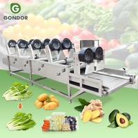 Fruit Verwijder Ventilator Flip Type Natuurlijke Winddroging Bubble Wash Machine Plantaardige Oppervlakte Water Luchtblazer Met