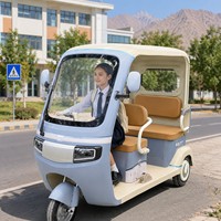 Tricycle électrique touristique SumEv 60V 1000W à 3 places, carrosserie ouverte, autonomie 30-50 km, vente en gros pour distributeurs en Asie du Sud-Est, parcs à thème et stations balnéaires