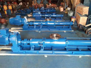 Pompe à vis monobloc série G pour eaux usées, avec rotor et stator, pompe à cavité progressive - Product Image 6