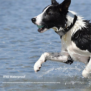 <span class=keywords><strong>Collar</strong></span> Inteligente 4G para Mascotas, Rastreador <span class=keywords><strong>GPS</strong></span> para Perros y <span class=keywords><strong>Gatos</strong></span>, Impermeable, IP67, Localización de Seguimiento Inteligente para Mascotas - Product Image 5