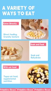 Friandises pour animaux de compagnie à base de caille lyophilisée pour chiens et <span class=keywords><strong>chats</strong></span>, collations naturelles riches en protéines, <span class=keywords><strong>hypoallergéniques</strong></span>, récompenses d'entraînement, fabriquées en Chine - Product Image 6