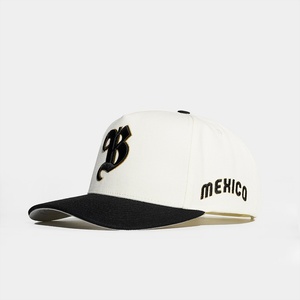 Gorras de Béisbol Personalizadas con Estructura Tejida, 5 Paneles, Logotipo Bordado en 3D, 2 Tonos, Cierre a Presión - Product Image 3
