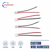 Connecteur électronique Mini Micro JST 2.0 PH 2 broches, conducteurs en cuivre pur, isolation en PVC, longueur 200 mm, tension nominale 12 V, fils