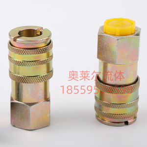 Komatsu <b>Quick</b> <b>Connector</b> For Pressure Testing Hydraulic Pump Excavator Test 1/2 Inch With Chain And Cap - Product Image 3