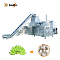 Automatische industriële bananen- en plantain-schilmachine, 5T/H, hoge efficiëntie, fruitenschilmachine, stoomschiller