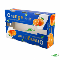 Duurzame, milieuvriendelijke, stapelbare opbergkrat van polypropyleen met holle golfstructuur voor fruit en groenten, waterdicht en UV-bestendig
