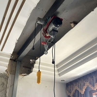Mini palan électrique à câble PA 220V, moteur silencieux, 400kg, 12m, petite grue de levage pour projets de bricolage à domicile, garage, grenier