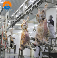 Projet clé en main d'abattoir de bovins, abattoir de vaches, équipement complet de transformation de la viande, boucherie