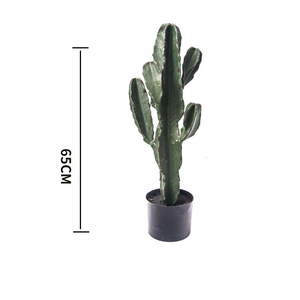 Plante artificielle en plastique, <span class=keywords><strong>cactus</strong></span> vert, ornement de jardin pour l'aménagement paysager, décoration de maison et de bureau, plantes artificielles - Product Image 3