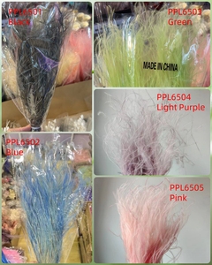 Herbe de la Pampa PPL65 Stipa à Couleurs Dégradées pour Décoration de Mariage et d'Intérieur – Fleur Éternelle pour Composition, Plume Naturelle - Product Image 5