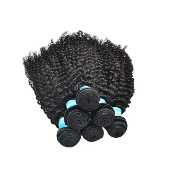 Overseas Wholesale Suppliers 7A Malaysian Kinky Curly Hair 3pcs Lot 100% Human Brazilian Virgin Hair Bundles