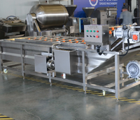 Automatische fruit- en groentenreinigingsmachine met nanobellen en motor - milieuvriendelijk merk SK