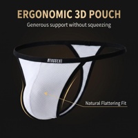 Vente en gros MENSSEXI Sexy Ultra Respirant Anti-humidité String Homme Taille Basse Sous-vêtements Gay Nylon T-back G-strings Poche 3D