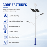 Lampadaire hybride solaire-éolien 30W-120W IP67 hors réseau avec contrôleur MPPT, batterie LiFePO4, construction en alliage d'aluminium, poteau de 6M-9M