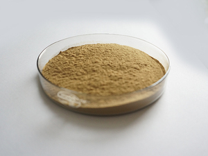 100% Axit Chlorogenic Tự Nhiên Eucommia Ulmoides Chiết Xuất - Product Image 6