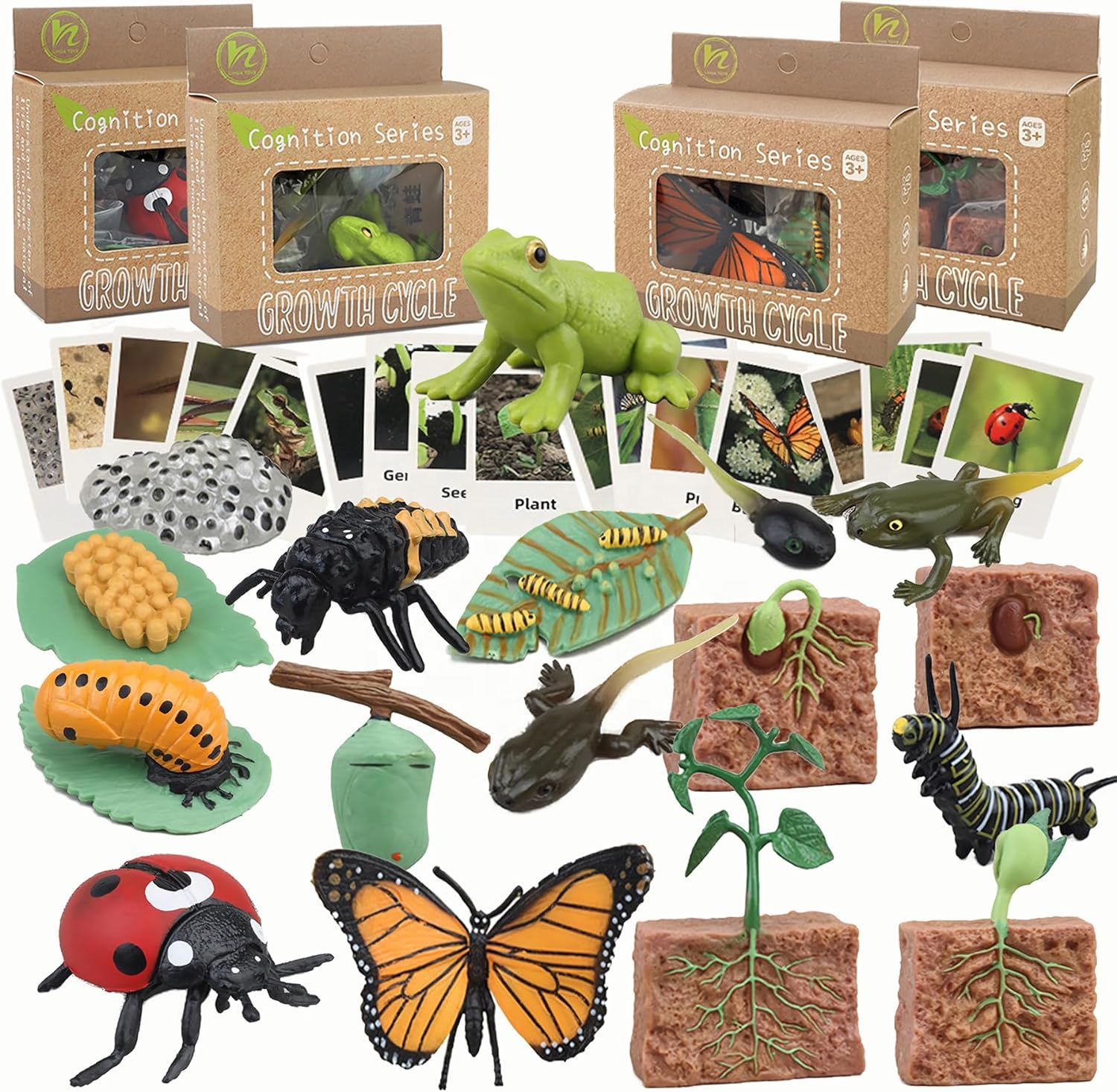 Juguetes de ciclo de vida figuritas de animales material didáctico niños juguetes Montessori preescolar Aprendizaje Temprano juguetes educativos para bebés pequeños