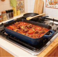 Plat de cuisson en fonte émaillée pour la cuisine domestique, plaque de cuisson en fonte