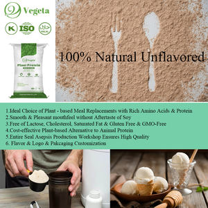 Tianjia Factory Supply Private Label ODM OEM Plant Based <strong>Protein</strong> <strong>Powder</strong> 25Kg Nutrition Supplement <strong>Protein</strong> <strong>Powder</strong> - Product Image 2