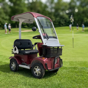 Voiturette <span class=keywords><strong>de</strong></span> golf électrique 2 places 4 roues 60V 800W avec roues en alliage, contrôleur 15 tubes et toit ouvrant pour le transport du personnel des clubs <span class=keywords><strong>de</strong></span> golf - Product Image 1