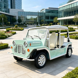 ZOWN Vehículo Eléctrico Retro Vintage de 2-4 Plazas para Turismo en Ciudades Antiguas - Product Image 1