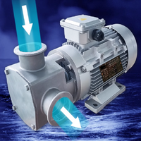 Pompe à eau auto-amorçante sanitaire en acier inoxydable à grosses particules avec turbine flexible Pompe de transfert de gelée Pompe alimentaire