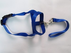 QUCHONPET 2024 Hot Best Selling Hot Gentle Leader Leader No Pull Dog <b>Collar</b> and <b>Leash</b> Perfect for Training - Product Image 5