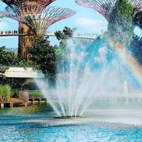 Fontaine musicale d'extérieur Water Crown, nouvelle conception pour les espaces publics ouverts, spectacle de lumière sur le sol, acier inoxydable moderne
