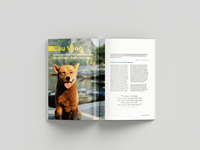 Service d'impression de brochures de catalogues de magazines promotionnels réutilisables Met Art