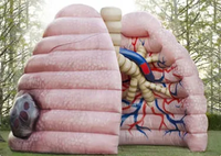 Poumons gonflables géants en PVC personnalisés avec modèle de tube pulmonaire pour l'enseignement et l'affichage