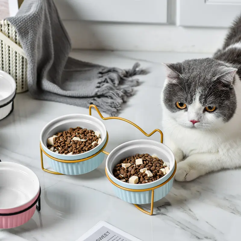 Tigelas de cerâmica para animais de estimação, potes de ferro personalizados para cães e gatos de alimentação