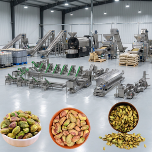 Industrial Grade Pistachio Nuts Roaster Seasoning Line 500kg/h Continuous Processing Production Equipment