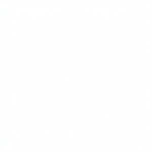 Carburador Hanzhuo SH56 SH56C SH86 SH86C BG86 BG86C BG86CE C1M-S261B - Product Image 1