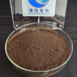 Estratto in Polvere di Erba di San Giovanni Selvatica Biologica Marine Genesis Bio-Tech, 0,3% Ipericina, Confezionato Sottovuoto in Fusto - Product Image 4