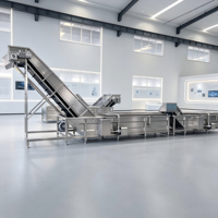 Hoogproductieve roestvrijstalen voedselveilige volautomatische groente- en fruitbelwasmachine met hoog rendement industrieel motorblok